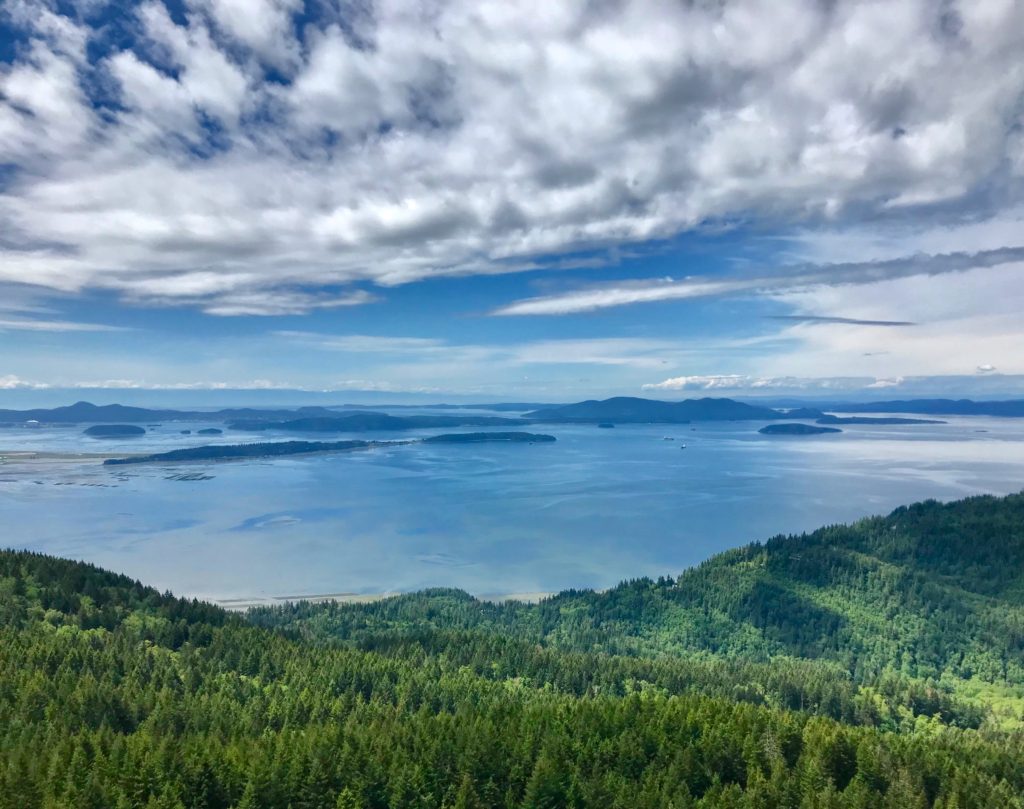 View From Oyster Dome