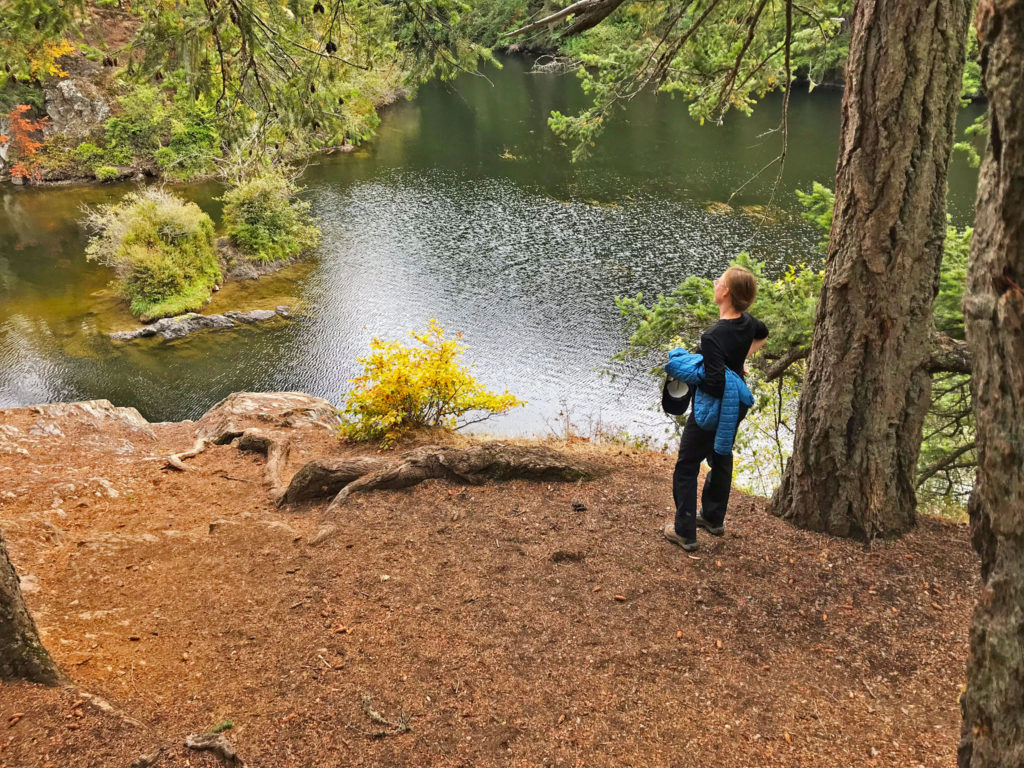 Overlooking part of Whistle Lake